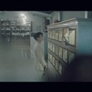 펫바라기