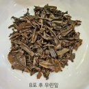 남방1통 이미지