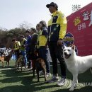 춘천애견체험박물관 이미지