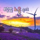 북상면횟집 | 감악산 꽃별여행 축제, 국내 가을 여행