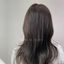 데일리브라운 이미지