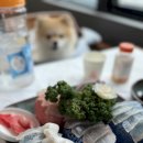 강릉식당 이미지