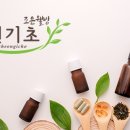 천기초건강약초백화점 이미지