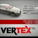 썬팅하는집