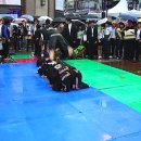 합기도 대구관 이미지