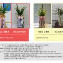 플라워비니