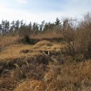 완도읍-1 이미지