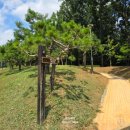 청당2공원 화장실 이미지