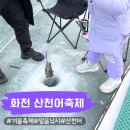 신기낙시터 | 화천 산천어축제 가격 주차 준비물 얼음낚시 팁 겨울축제 즐기기