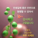 근원목장 Daum카페