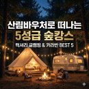 신한개발쎄렌체펜션 | 산림바우처 사용처 추천 BEST 5, 5성급 호텔 부럽지 않은 숲속 글램핑장 & 카라반 완벽 가이드
