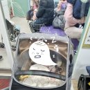 이혜진소아청소년과의원 네이버블로그