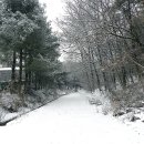 무봉산둘레길 이미지