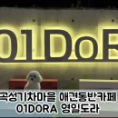 곡성 기차마을 애견동반펜션 | [광주전남 강아지 데리고 가볼만한 곳] 곡성기차마을 애견동반카페 [01DORA 영일도라]