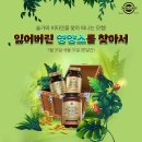 솔가