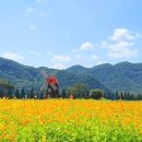 부곡체육공원 이미지