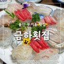 울산광역시 남구 무거동 행정복지센터 | 울산 무거동 횟집 금하횟집 남구 회 일식 코스요리 회식장소 가족식사 룸식당 추천