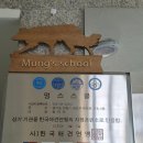 금호유치원 | 수원 애견 유치원 멍스스쿨 ( 강아지 유치원 / 수원애견호텔 )