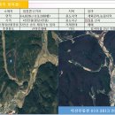 신기 감곡마을 인근 자연산 송이산 13,560평매매 이미지