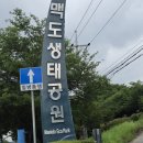 맥도 | 부산 강서구 맥도 생태공원 연꽃단지 후기