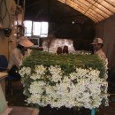 마송농장 이미지