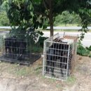 행구축산 이미지