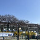 평택대학교(학생관) | 2024 평택대학교 벚꽃축제 포토존, 푸드트럭, 주차 정보