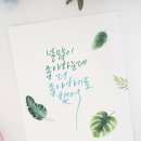 캘리그라피 2급·3급 과정 이미지