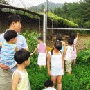 사슴이랑 배랑 농원 이미지