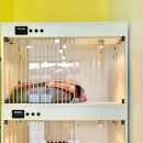 하이 멍뭉아 이미지