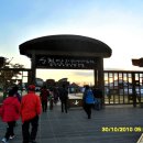 순천만 메추리 이미지