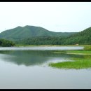 용산지 Daum카페