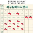 북구 팀매드 이미지