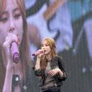 콘헤이즈 이미지