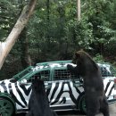 포레스트벨리캠프 이미지