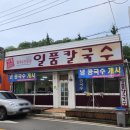구미 옥계 일품칼국수 종류별로 먹고온 후기