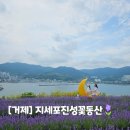 흑진주 흑염소 | 지세포진성꽃동산, 학동흑진주몽돌해수욕장, 바람의 언덕, 온더선셋 카페 방문 후기(2025. 6. 8.(일))