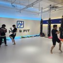 히트앤핏 교대 이미지