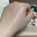 더포레스트스킨