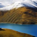 백수농원 이미지