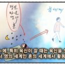 세계주
