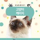 케이지메디칼 이미지