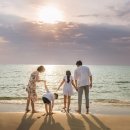 매미와 함께하는 여름여행 이미지