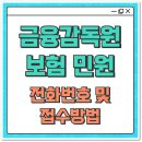 금융감독원 | 금융감독원 민원 신고 후기- 보험 접수 방법과 전화번호는?