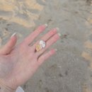 비비큐 포항 칠포 오도점 | 대구인근 포항 칠포 해수욕장 옆 오도리 해수욕장 가족들과 가볼만한 곳