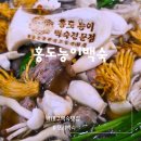 홍도능이백숙 - 4982 | 대구 오리백숙 맛집 영양만점 건강한 가족 외식 홍도능이백숙