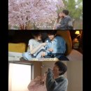 [20일 챌린지 DAY15] 찬&amp;란 커플 최애 애정씬 이미지