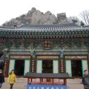 삼계농협주유소 Daum카페