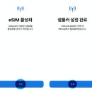 주식회사스마트엘 | 이집트 eSIM 추천｜링톡 이심 설치방법과 무제한 데이터로 카이로, 기자 피라미드 에서도 안정적인 연결