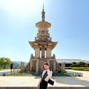 [1박 2일 경주 여행] 경주 가볼 만한 곳 / 경주월드, 첨성대, 황리단길(맛집, 카페)